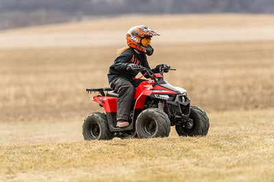 MUDHAWK 6