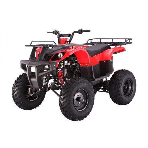 T125(TFORCE)
